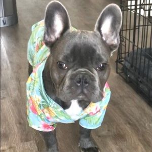 Frisco Dog Hawaiian Shirt. Large